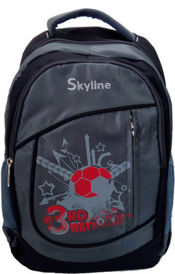 

Skyline 057 21 L Laptop Backpack(Red), Grey