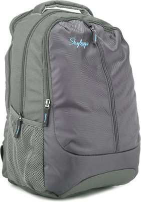 

Skybags Beetle 04 Laptop Backpack(Grey, Green)
