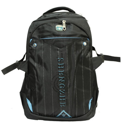 

Shengzhe Sky One 18 L Laptop Backpack(Blue)