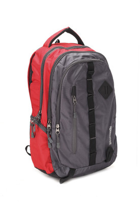 

American Tourister AMT Zap 2016 20 L Backpack(Red), Grey