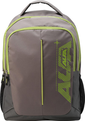 

ALFA Punto backpack grey 30 L Backpack(Grey)