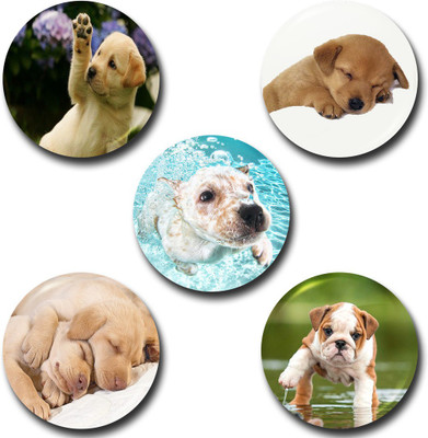 

Capturing Happiness Animals Badge