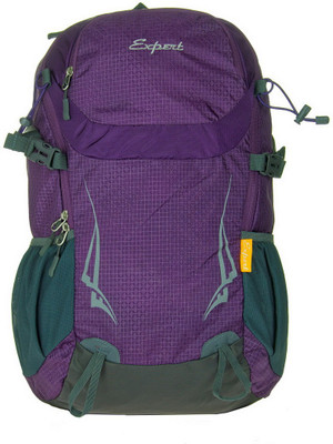 

Neo Gold Leaf BG-22 Waterproof Backpack(Multicolor, 21 L)