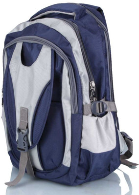 

President Marbel 26 L Backpack(Silver)