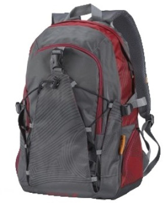 

Fastrack A0211NGY01AA Shoulder Bag(Black, Red)