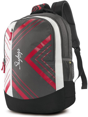 

Skybags Pogo extra 01 Backpack(Grey, 35 L)