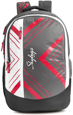 

Skybags Pogo Extra 01 Backpack Grey School Bag(Multicolor, 35 L)