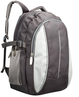 

President Snowball 22 L Backpack(Grey)