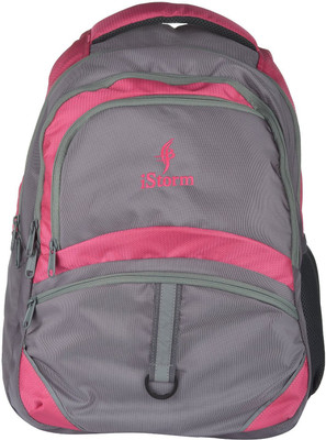 

Istorm IBISPINK Waterproof Backpack(Pink, 25 L)