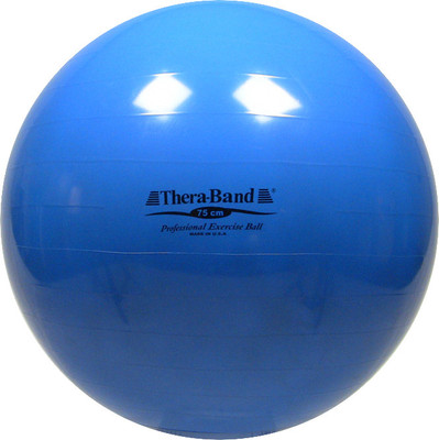 

Thera-Band Standard Gym Ball, Blue