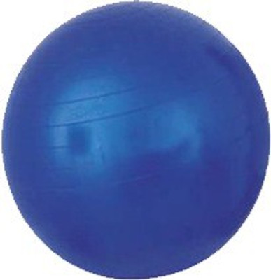 

Acco Physio Ball Gym Ball, Blue