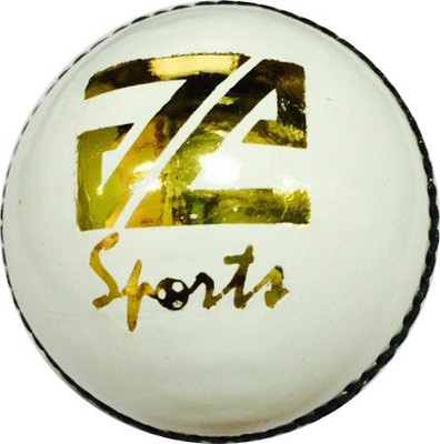 

JE Sports Conc Cricket Leather Ball(Pack of 1, White)