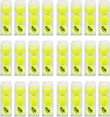 

Gamma Pro Practice Tennis Ball(Pack of 72, Yellow)