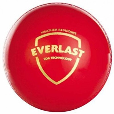 

SG Everlast Cricket Leather Ball(Pack of 1, Red)