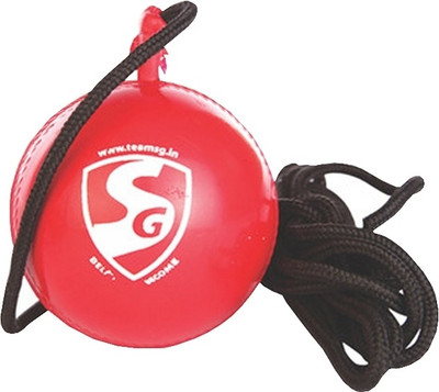 

SG I Cricket Ball(Red), Multicolor
