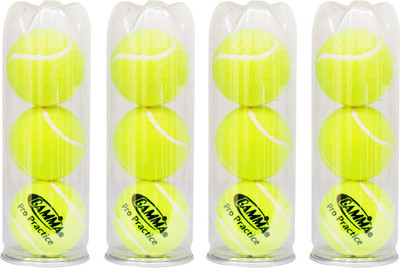 

Gamma Pro Practice Tennis Ball(Pack of 12, Yellow)