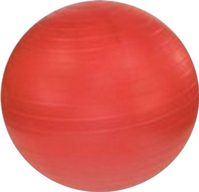 

Vector X Gym Ball(With Pump), Multicolor