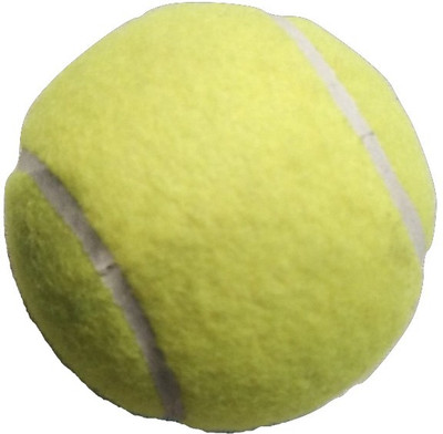 

Whimsical Sports Steel Cricket Leather Ball(Pack of 10, Green)