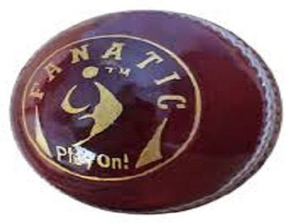 

SM Fanatic Cricket Leather Ball(Pack of 1, Red)