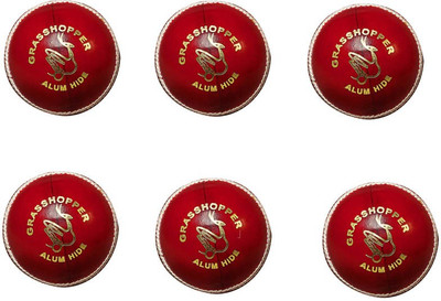 

Grasshopper Clubman Cricket Leather Ball(Pack of 6, Red)