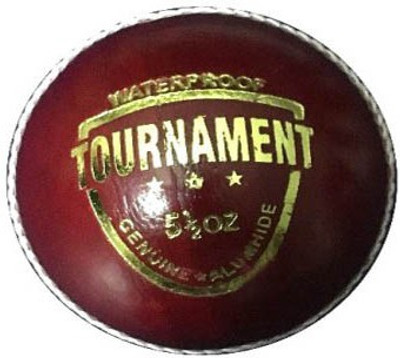 

Setia International Tournament Cricket Leather Ball(Pack of 6, Maroon)