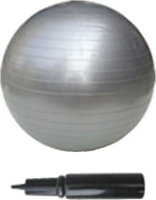

Vector X Gym Ball(With Pump), Silver