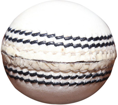 

Priya Sports 2824A Cricket Training Ball(Pack of 1, White)