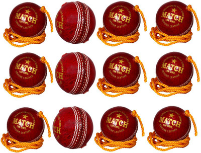 

Priya Sports PCROPERED-12 Cricket Training Ball(Pack of 12, Red)