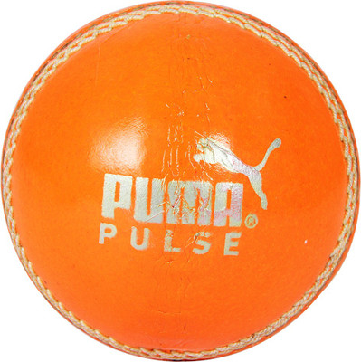 

Puma Turf Cricket Leather Ball(Pack of 1, Orange)