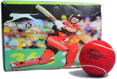 

Slazenger Gully Tennis Ball(Pack of 6, Red)