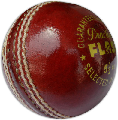 

Flash LEATHER PRACTICE Cricket Training Ball(Pack of 1, Red)