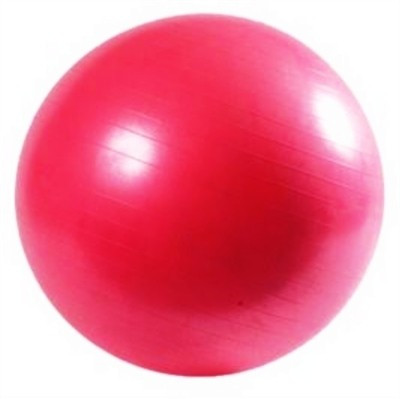 

Vector X Gym Ball(With Pump), Pink