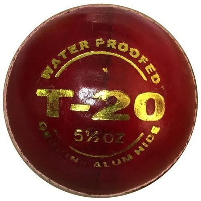 

Pilot sports co T 20 Cricket Leather Ball(Pack of 1, Red)