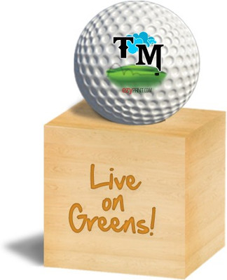 

ezyPRNT "TM" Golf Ball(Pack of 1, White)