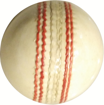 Whimsical Sports Leather Ball- Pack Of 2 Cricket Leather Ball(Pack of 2, White)