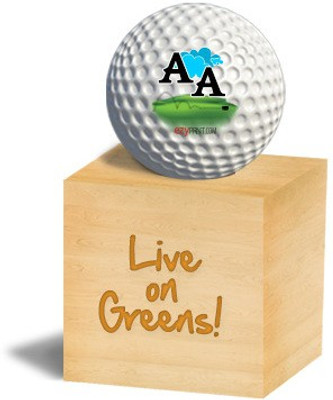 

ezyPRNT AA Golf Ball(Pack of 1, White)
