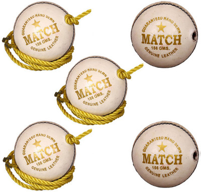 

Priya Sports Practice White Cricket Training Ball(Pack of 5, White)