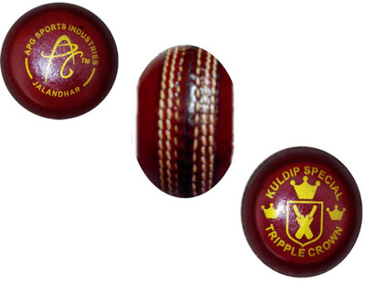 

APG Aggot Cricket Training Ball(Pack of 3, Red)