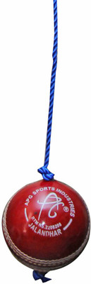 

Port Kuldeep Cricket Training Ball(Pack of 1, Red)