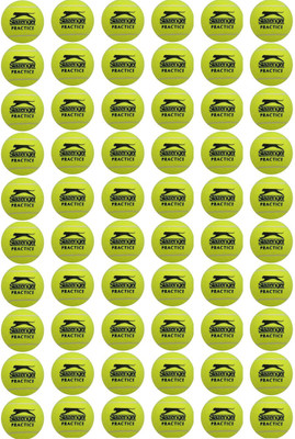 

Slazenger Practice Tennis Ball(Pack of 60, Yellow)
