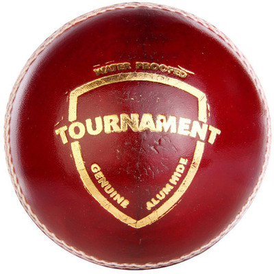 Kimati magnet cheap cricket ball