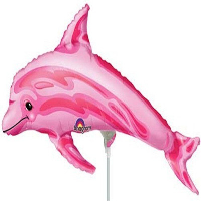 

Anagram Printed 08434-02 Balloon(Pink, Pack of 1)