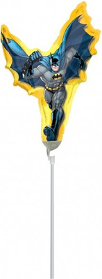 

Anagram Printed BAL300010864 Balloon(Multicolor, Pack of 1)