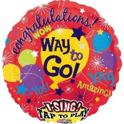 

Anagram Printed BAL300010820 Musical Balloon(Multicolor, Pack of 1)