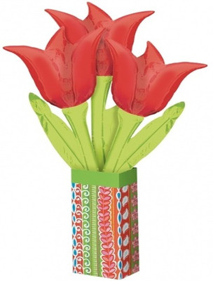 

Anagram Printed BAL300012867 Balloon(Multicolor, Pack of 1)