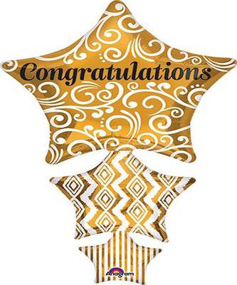 

Anagram Printed BAL300014829 Balloon(Multicolor, Pack of 1)