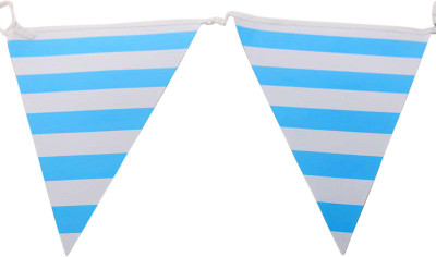 

Funcart Pennant Bunting Stripe Banner(10 ft, Pack of 1)