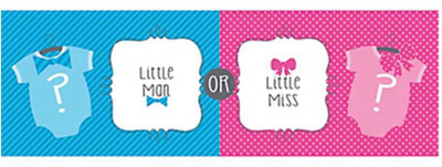 

PARTY PROPZ Little Man Little Miss Banner(5 ft, Pack of 1)