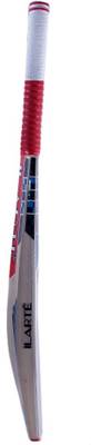 ILARTE Typhoon Strike Kashmir Willow Cricket  Bat