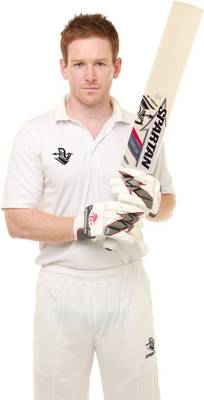 Spartan SPC6-ST116 English Willow Cricket  Bat
